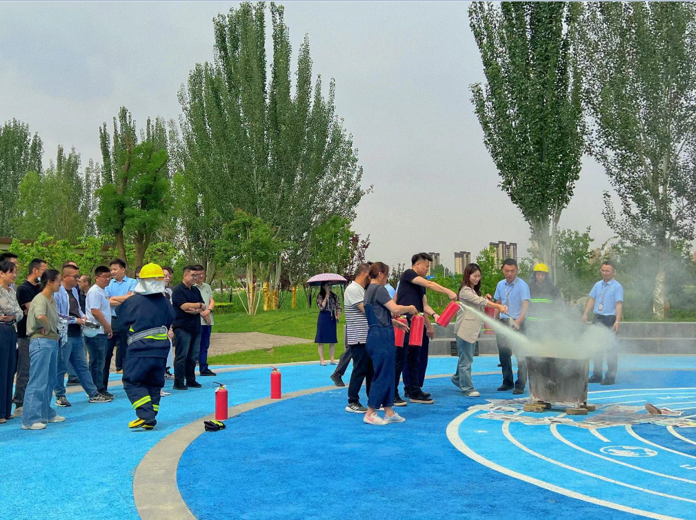 1717382862823 1717382862823